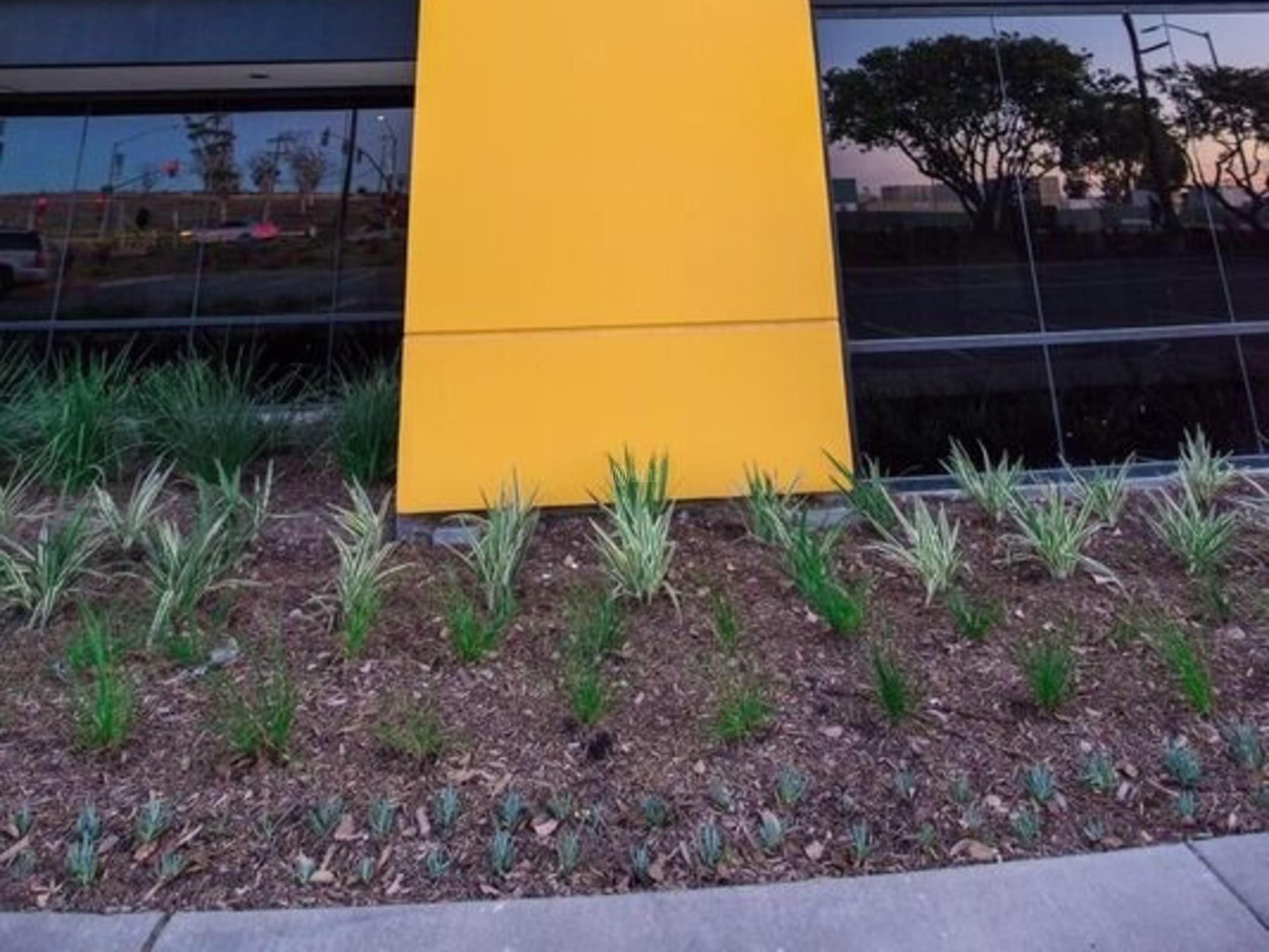 Frontera Business Park - Bldg 8