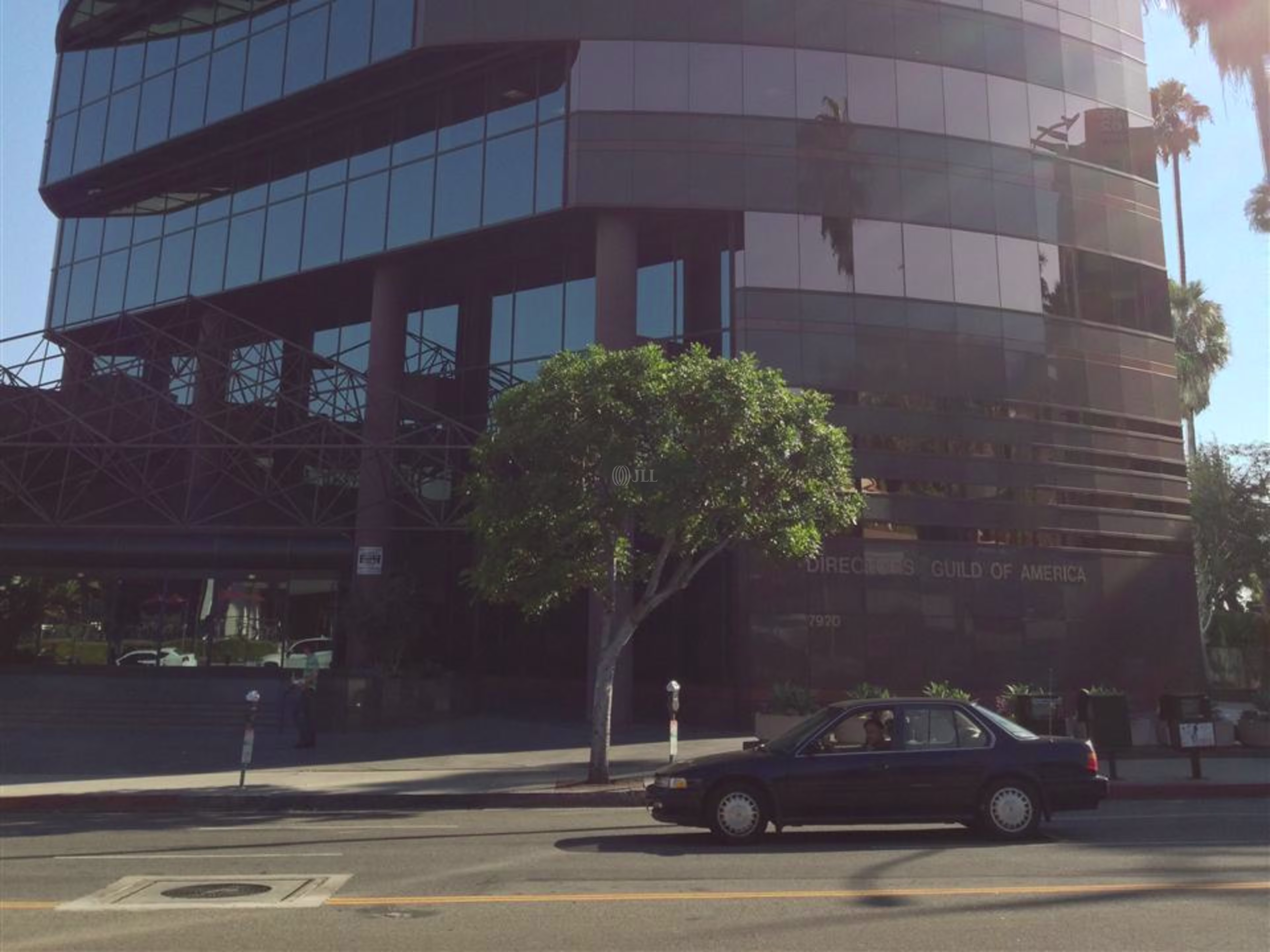Directors Guild of America