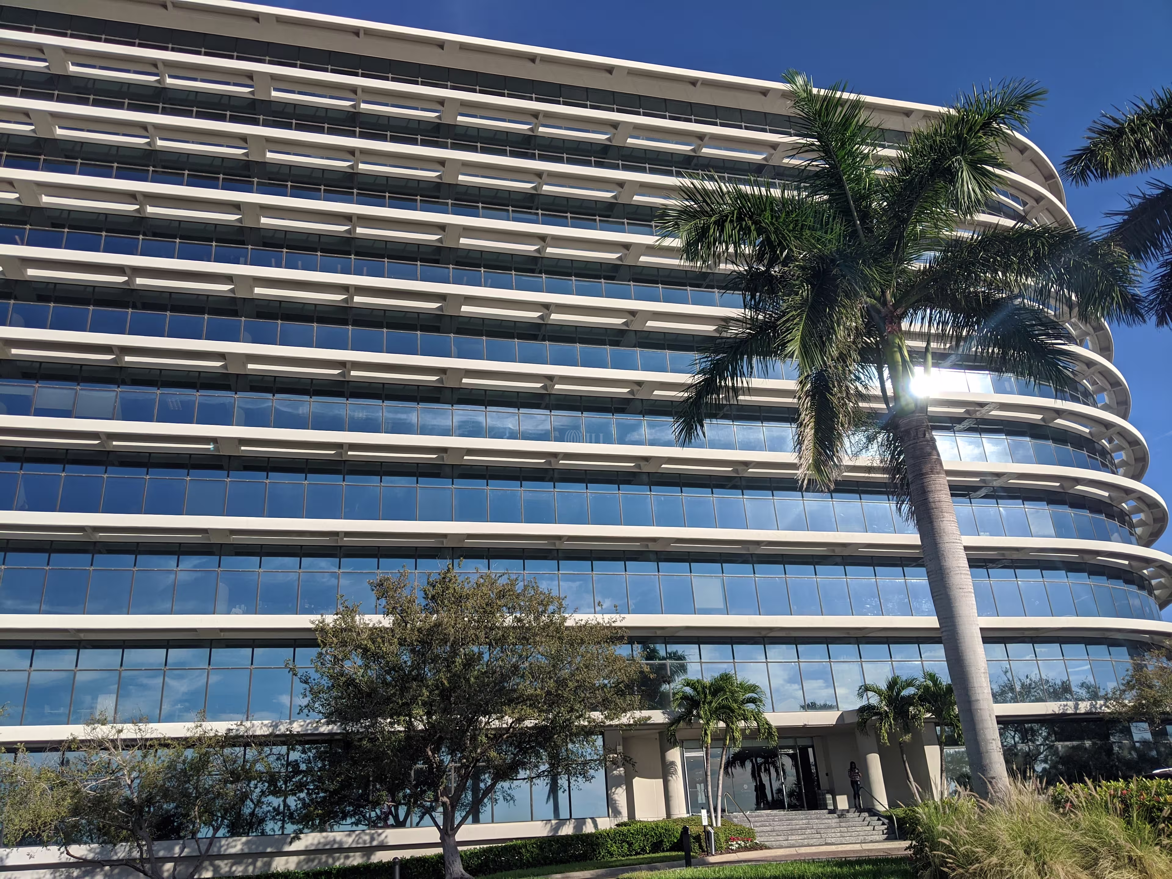 The Pointe