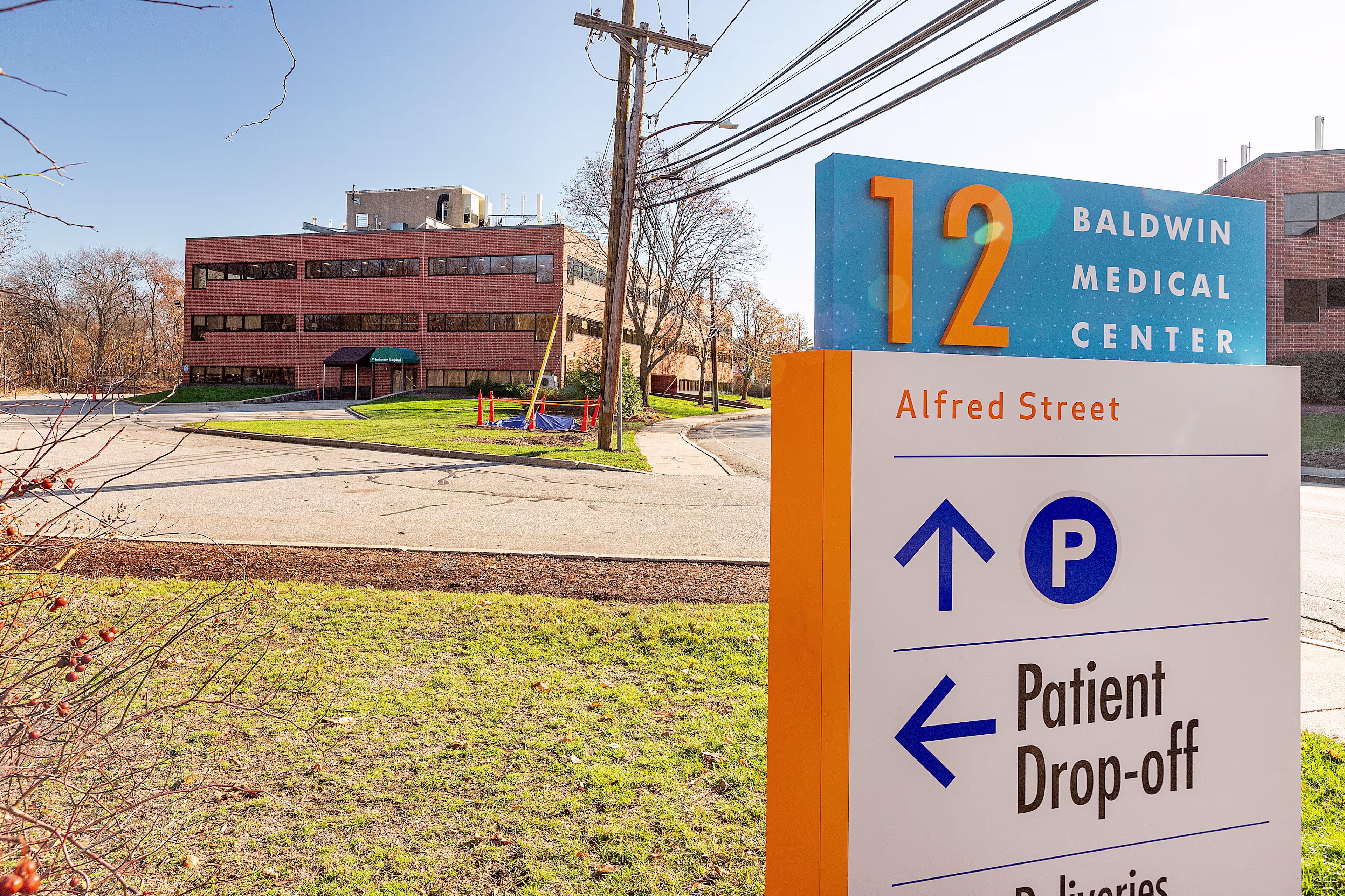 12 Alfred St