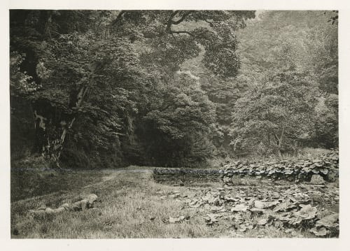 Plate LIII A Quiet Nook In Beresford Dale Bankart, George  (British, 1829-1916)