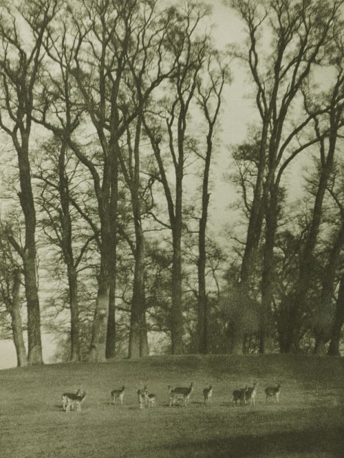  Coburn, Alvin Langdon  (American, 1882-1966)