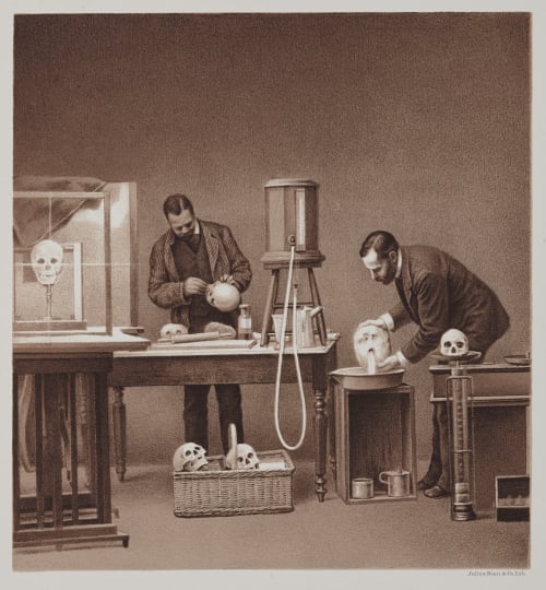 Arrangement for Taking Composite Photographs of Skulls, Photograph No. 1 Bien, Julius  (American, 1826-1909)