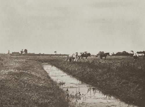 Noontide on the Pastures Emerson, Peter Henry  (British, 1856-1936)