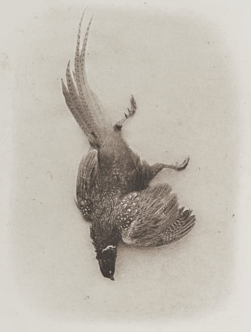 Untitled Unknown 