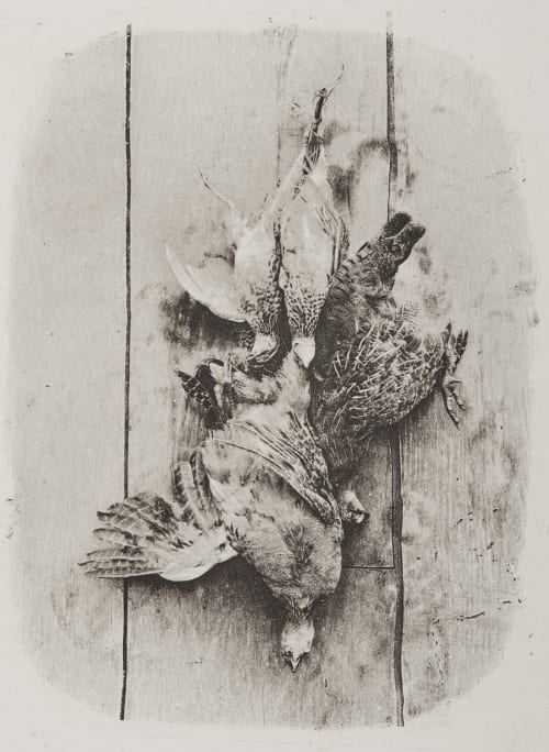 Untitled Unknown 