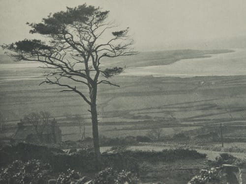 Plate X Mochras or Shell Island Coburn, Alvin Langdon  (American, 1882-1966)