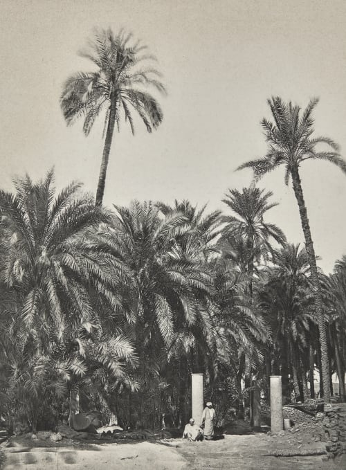 77 Assouan Unknown 