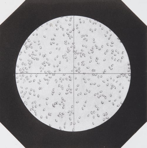 Aspect du Champ du Microscope Lackerbauer, Pierre  (French, 1823-1872)