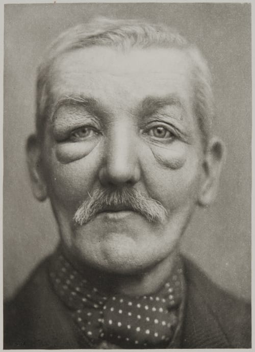 Plate VII, Oedema Ramsay, A Maitland  (Scottish, 1859-1946)