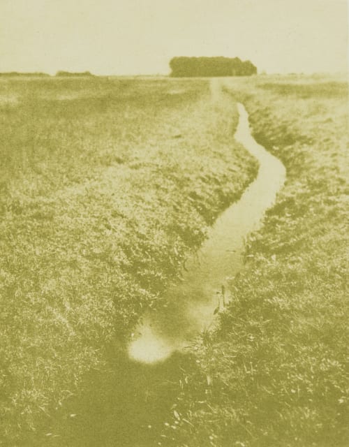 Photograph of Friedrich Behrens in Posen Behrens, Friedrich  (German)