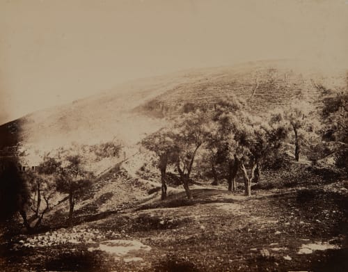 Naplouse: Mont Garizim Vignes, Louis  (French, 1831-1896)