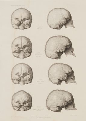 PL. 47 Araucanie – Chine – Péninsule de Malacca – Ile Van-Diemen