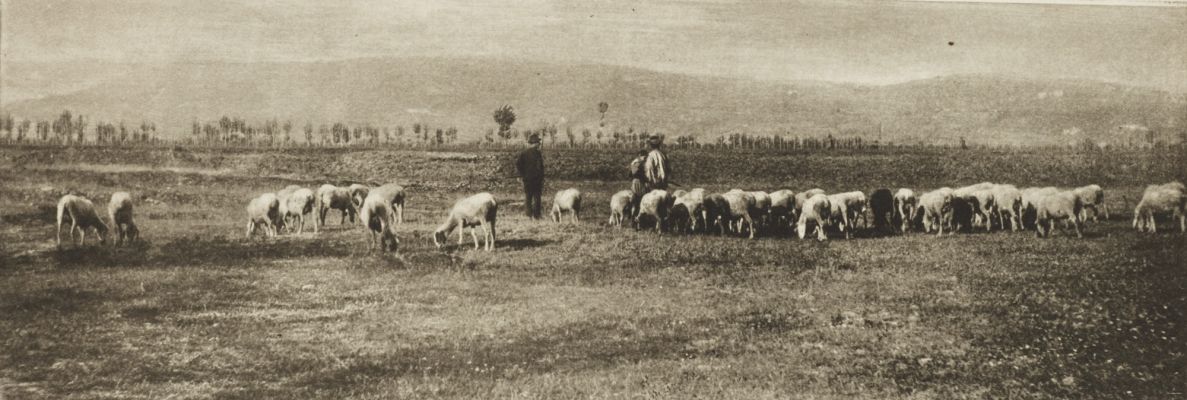 Lombardy Pastoral