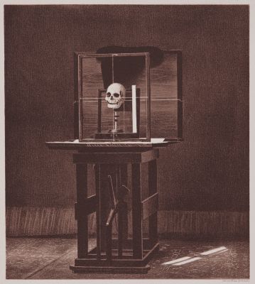 Arrangement for Taking Composite Photographs of Skulls, Photograph No. 1