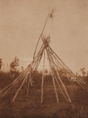 Frame of the Sponsor’s Tipi. Cree Sun-Dance