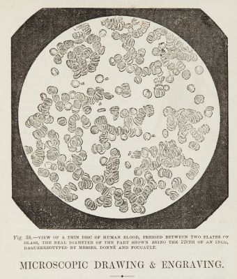 View of a thin disc of human blood.