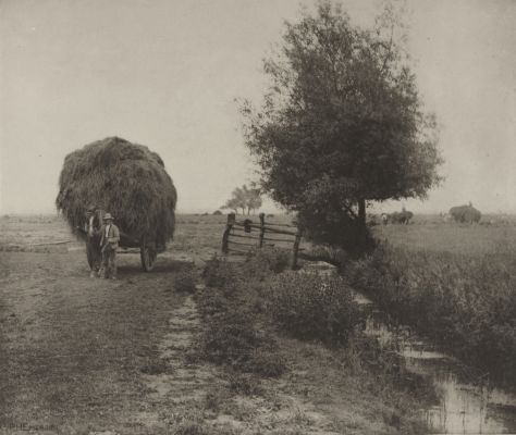 In The Haysel, Norfolk