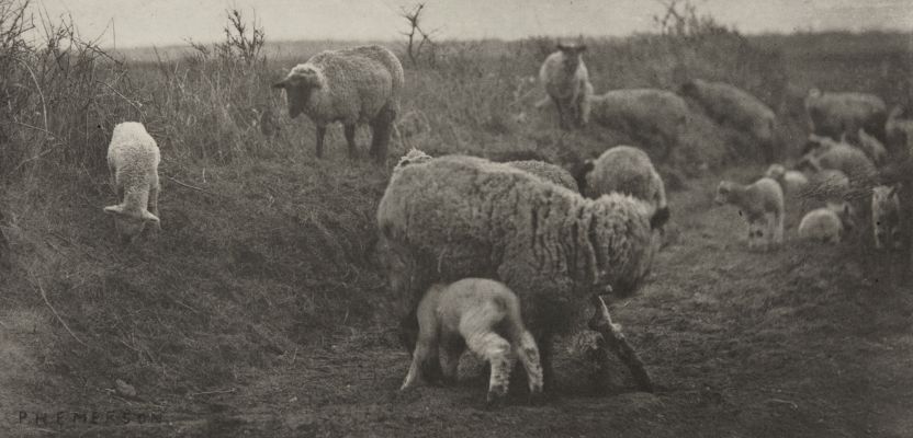 A March Pastoral