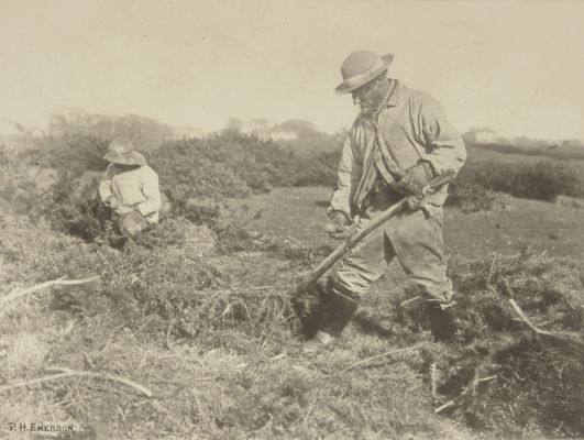 Furze-Cutting on a Suffolk Common