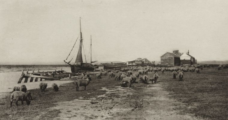 Blackshore (River Blythe, Suffolk)