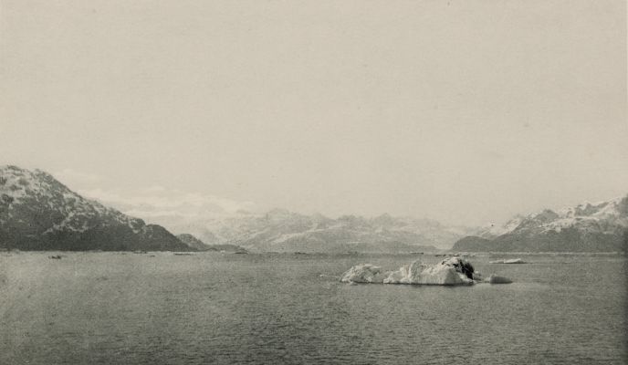 Iceberg in Glacier Bay