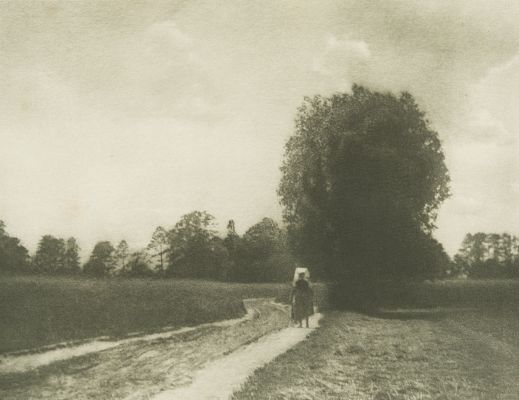 Aus dem Spreewald