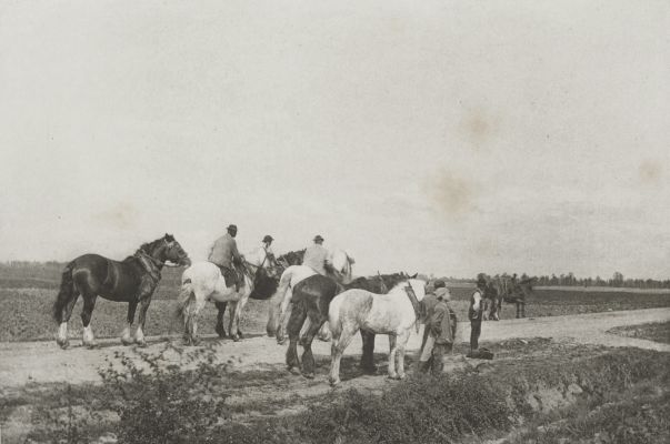 Homewards From Plough