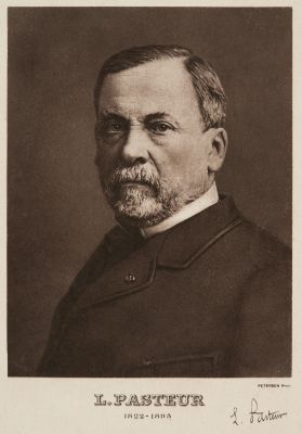 L. Pasteur