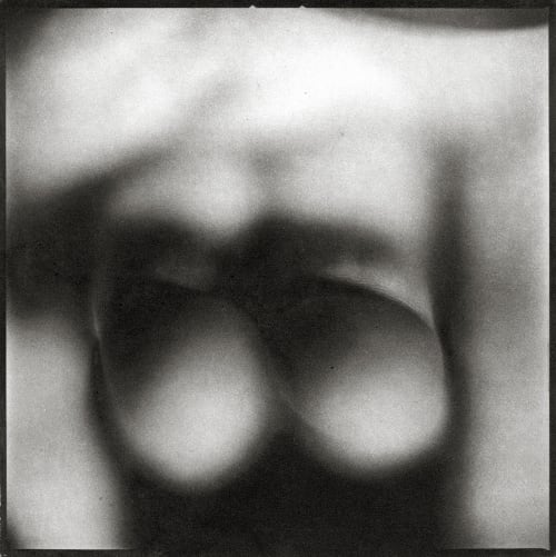 Untitled, from Vanity Wright, Holly  (American)
