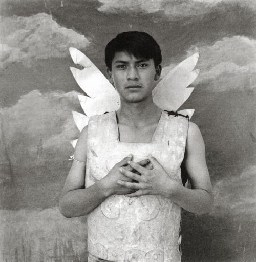 La Coraza Palma, Luis Gonzalez  (Guatemalan, b.1957)
