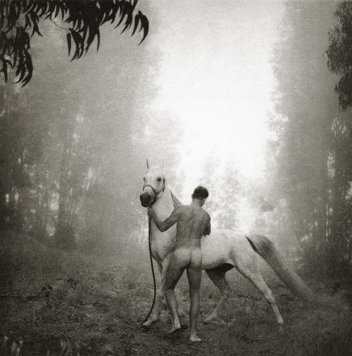 Groom with Arabian Stallion Tress, Arthur  (American, b.1940)