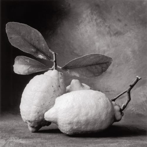 Tuscan Lemons DeCosse, Cy  (American, b.1929)