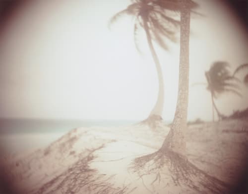 Untitled Mann, Sally  (American)