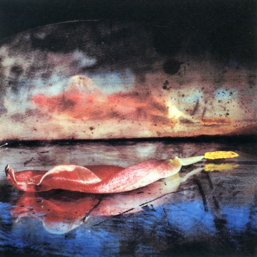 Naturaleza Muerta 186 Catany, Toni  (Spanish, 1942-2013)