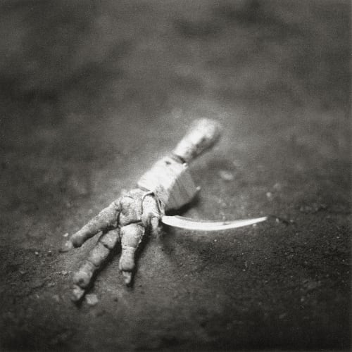 Claw #2 Deruytter, Wouter  (Belgian, b.1967)