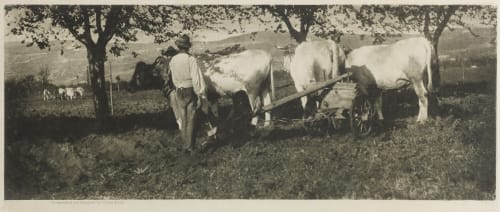 Lombardy Ploughing Team Annan, James Craig  (Scottish, 1864-1946)