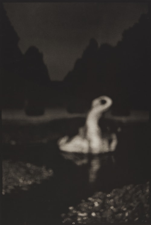 Fountain at Schönbrunn Armstrong, David  (American, b.b.1954)