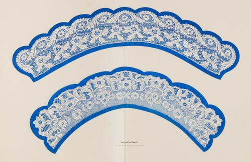 Plate 6 Naturselbstruck Auer, Alois  (Austrian, 1813-1869)