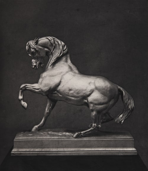 Cheval Turc Barye, Antoine-Lewis  (French, 1795-1875)