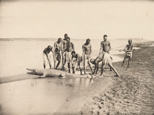 PL CXXXIX Capture D’un Crocodile (proof) Béchard, Émile  (French, 1840-1891)