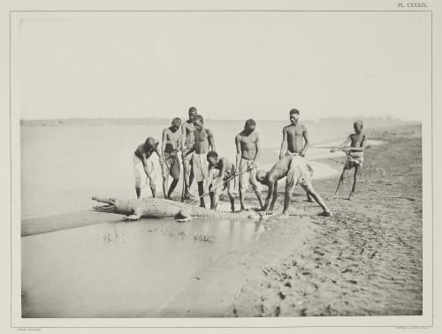 (Pl. CXXXIX) Capture D’un Crocodile Béchard, Émile  (French, 1840-1891)