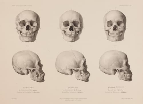 Skulls from Philippines & Mariannes (detail) Bisson, Louis-Auguste  (French, 1814-1876)