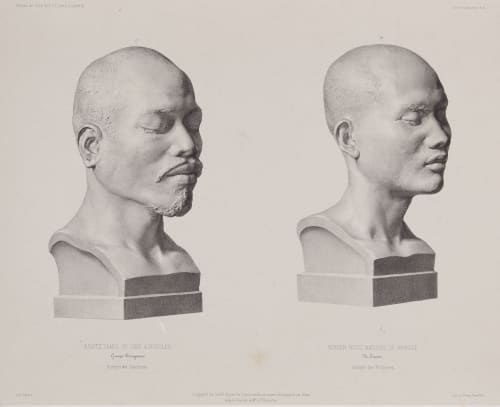 Anthropologie. Pl 9 Bisson, Louis-Auguste  (French, 1814-1876)