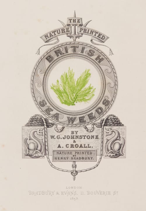 Cover Bradbury, Henry  (British, 1831-1860)