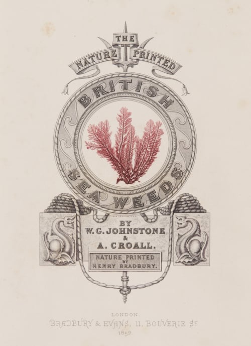 Cover Bradbury, Henry  (British, 1831-1860)