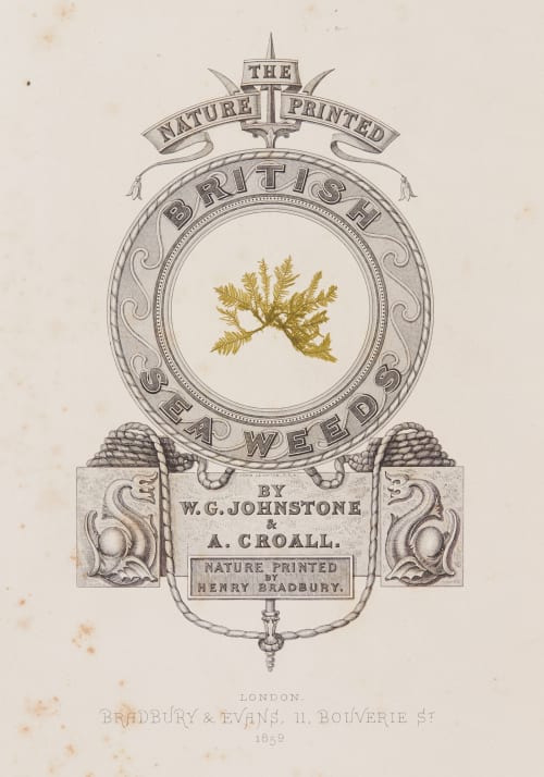 Cover Bradbury, Henry  (British, 1831-1860)