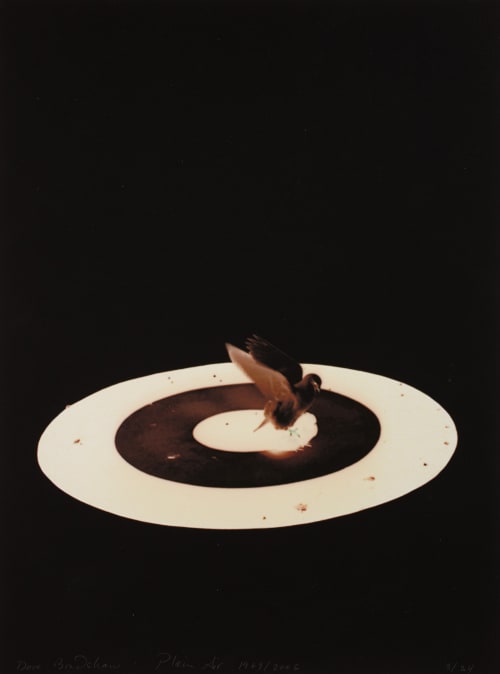 Plain Air: Without Title Bradshaw, Dove  (American, b.1949)