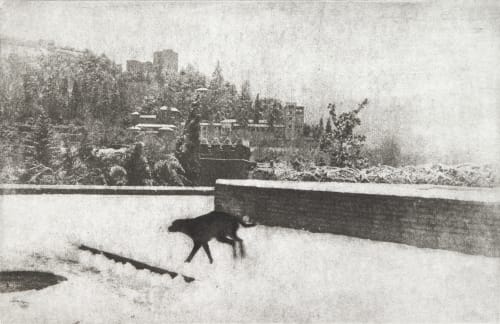 d’epres gum bichromité Lescurier Claude  (French)