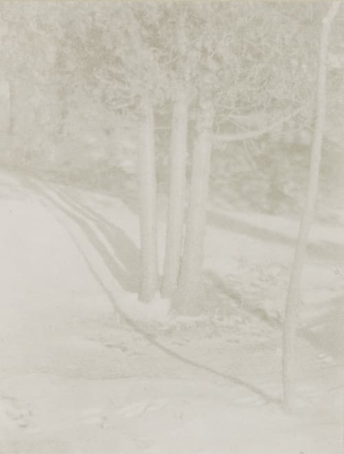 Judgement of Paris-A Landscape Arrangement Steichen, Edward  (American, 1879-1973)